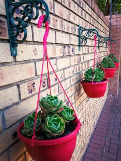 Ridderspoor Guesthouse - Middelburg - 6
