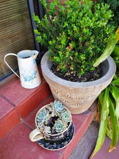 Ridderspoor Guesthouse - Middelburg - 4