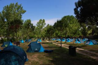 Campeggio Boscoverde - Torre del Lago Puccini - 6