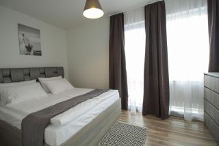 Mini Sofia - Sofia - 8