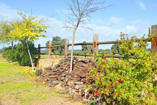 Cortijo La Panadera - 4