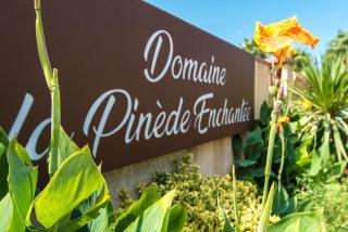 Domaine La Pinède Enchantée - Argelès-sur-Mer - 8