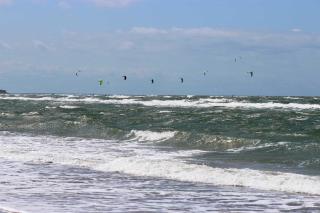 STRANDFLIEDER App Nr 05 max 3 Pers - Dierhagen - 9