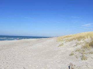 STRANDPERLE App Nr 01 max 4 Pers - Dierhagen - 8