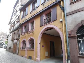 Splendide Appartement Barr - Route du Vins - Barr - 3