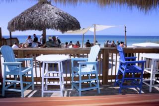 Anna Maria Island Beach Palms 6B - 7