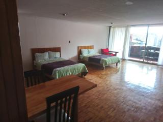 Suites Las Plazas - Cuernavaca - 5