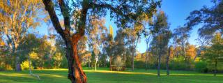 Yea Riverside Caravan Park - Yea - 1