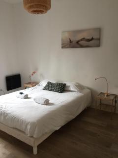 Charmant appartement hyper centre Comédie - Montpellier - 5