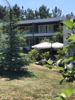 Logis des Sittelles - Montfort-le-Gesnois - 7