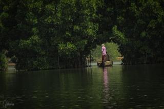 Munroe Eco Camp - Munroe Island - 1