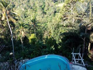 Made Punia's Jungle - 9
