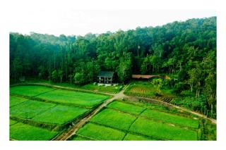 Vayal Veedu - Luxury Farm Villas by the woods - Muthanga - 1