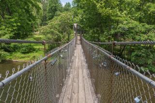 Treetop Tennessee - 9