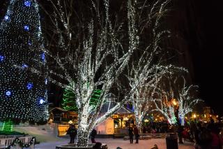 Aspen Suites 506: The Nest - Leavenworth - 2