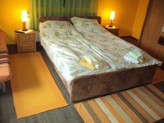 Apartman Rudnik - Vrdnik - 7
