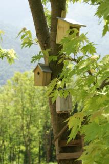 Coste del Gaggio - Country House B&B - Garda Trentino - Drena - 7