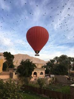 Amenophis Hotel - Louxor - 1