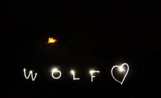wolf.tirol - 8