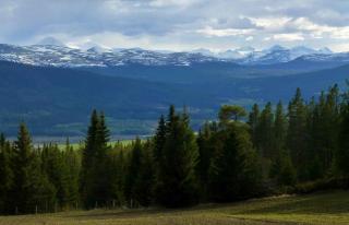 Tronsvangen Seter - Alvdal - 5