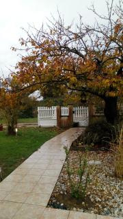 Route de voivres - La Suze-sur-Sarthe - 1