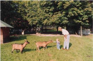 Landhotel Meier Gresshoff - Oelde - 6