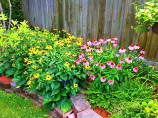 Lyndon House Bed & Breakfast - Lexington - 6