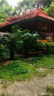 Khaosok Island Resort - Khao Sok National Park - 3
