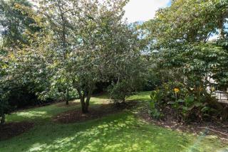 Kauri Park Motel - Kerikeri - 1