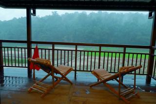 Vayal Veedu - Luxury Farm Villas by the woods - Muthanga - 4