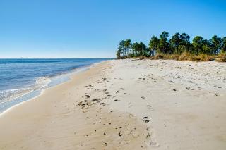 Surf Club A-5 - Dauphin Island - 9