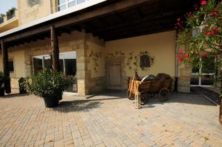 Seehotel Europa - Schwanau - 2