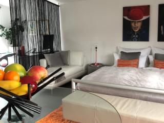 Modernes Studio auf der Sonnenterrasse - Baden-Baden - 1