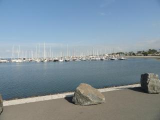 Familie-Beachvilla Ooster-schel-de - 3