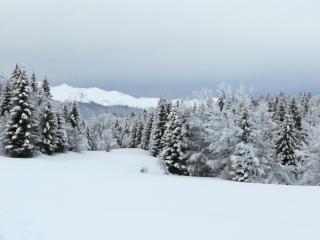 APARTMENT CHALET -BOHINJ- Pokljuka- Triglav National Park - 2