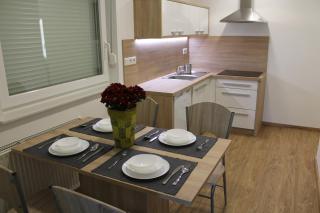 Petite Apartment - Maribor - 0
