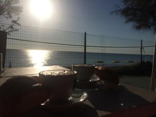 Camping La Pineta - Porto Recanati - 8
