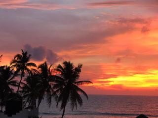 Dasu’s Restaurant & Villa - 9