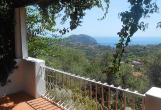 Solandra - Città di Lipari - 2