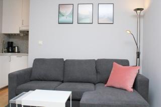 Nordic Host - City Center 2 Bed / 2 Bath - Skippergata - 3 minutes from station - 1