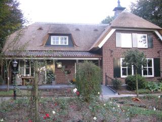 B&B De Zeven Berken - Nistelrode - 1