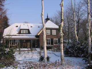 B&B De Zeven Berken - Nistelrode - 3