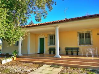 Villa Eucalipti - Scarlino - 2