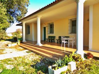 Villa Eucalipti - Scarlino - 1