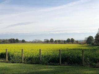Joff - Budingen - 6