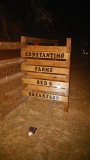 Constantino Farms - Dublin - 7