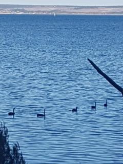 Trading Places Kangaroo Island - 1