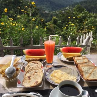 White House Mirissa - 1