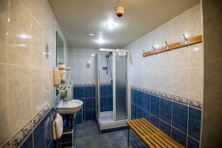 Ivy Bush Royal Hotel by Compass Hospitality - Carmarthen - 2