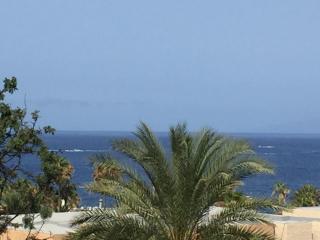 Apartamentos Olympia - Playa de las Americas - 2